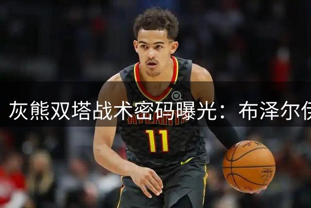 灰熊双塔战术密码曝光：布泽尔伊迪如何重塑禁区统治力